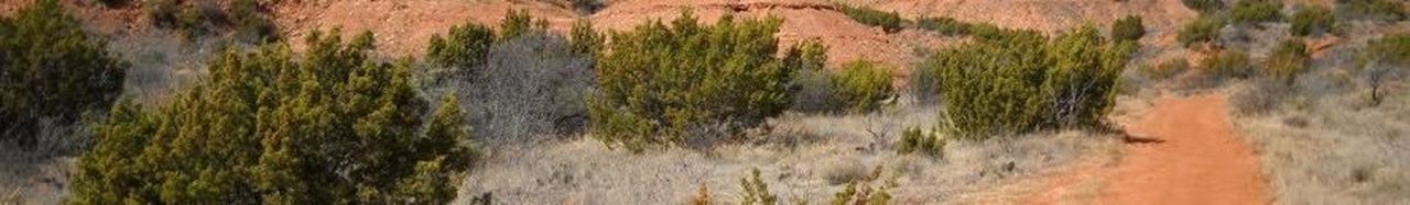 Photo of current-day ranch road that follows “The Old Wagon Road.”