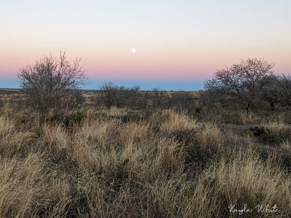 Moonrise near Quitaque Creek.